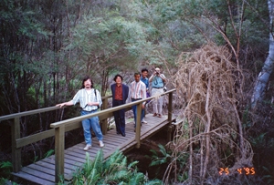 オーストラリア・ブルーマウンテンズ（1995年）